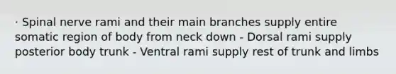 · Spinal nerve rami and their main branches supply entire somatic region of body from neck down - Dorsal rami supply posterior body trunk - Ventral rami supply rest of trunk and limbs