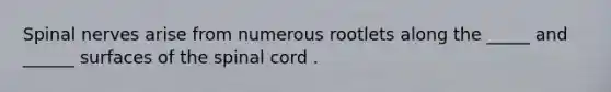 <a href='https://www.questionai.com/knowledge/kyBL1dWgAx-spinal-nerves' class='anchor-knowledge'>spinal nerves</a> arise from numerous rootlets along the _____ and ______ surfaces of <a href='https://www.questionai.com/knowledge/kkAfzcJHuZ-the-spinal-cord' class='anchor-knowledge'>the spinal cord</a> .
