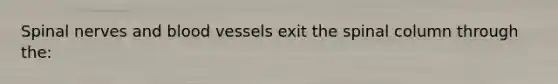 Spinal nerves and blood vessels exit the spinal column through the:
