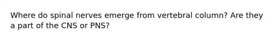 Where do spinal nerves emerge from <a href='https://www.questionai.com/knowledge/ki4fsP39zf-vertebral-column' class='anchor-knowledge'>vertebral column</a>? Are they a part of the CNS or PNS?