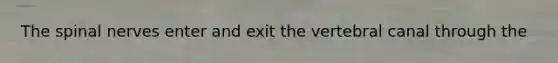 The spinal nerves enter and exit the vertebral canal through the