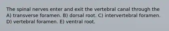 The <a href='https://www.questionai.com/knowledge/kyBL1dWgAx-spinal-nerves' class='anchor-knowledge'>spinal nerves</a> enter and exit the vertebral canal through the A) transverse foramen. B) dorsal root. C) intervertebral foramen. D) vertebral foramen. E) ventral root.