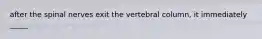 after the spinal nerves exit the vertebral column, it immediately _____