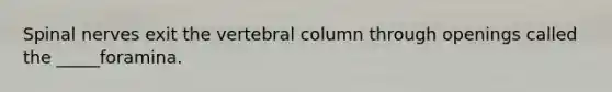 Spinal nerves exit the vertebral column through openings called the _____foramina.