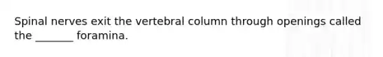 Spinal nerves exit the vertebral column through openings called the _______ foramina.