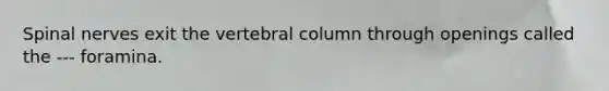 Spinal nerves exit the vertebral column through openings called the --- foramina.