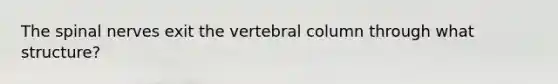 The <a href='https://www.questionai.com/knowledge/kyBL1dWgAx-spinal-nerves' class='anchor-knowledge'>spinal nerves</a> exit the <a href='https://www.questionai.com/knowledge/ki4fsP39zf-vertebral-column' class='anchor-knowledge'>vertebral column</a> through what structure?