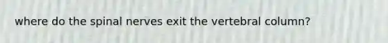 where do the spinal nerves exit the vertebral column?