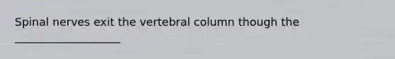 <a href='https://www.questionai.com/knowledge/kyBL1dWgAx-spinal-nerves' class='anchor-knowledge'>spinal nerves</a> exit the <a href='https://www.questionai.com/knowledge/ki4fsP39zf-vertebral-column' class='anchor-knowledge'>vertebral column</a> though the ___________________