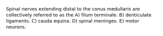 Spinal nerves extending distal to the conus medullaris are collectively referred to as the A) filum terminale. B) denticulate ligaments. C) cauda equina. D) spinal meninges. E) motor neurons.