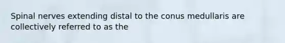 Spinal nerves extending distal to the conus medullaris are collectively referred to as the