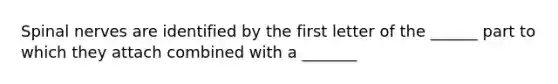 <a href='https://www.questionai.com/knowledge/kyBL1dWgAx-spinal-nerves' class='anchor-knowledge'>spinal nerves</a> are identified by the first letter of the ______ part to which they attach combined with a _______