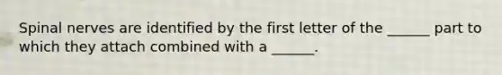 <a href='https://www.questionai.com/knowledge/kyBL1dWgAx-spinal-nerves' class='anchor-knowledge'>spinal nerves</a> are identified by the first letter of the ______ part to which they attach combined with a ______.