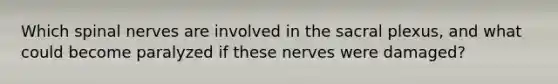 Which spinal nerves are involved in the sacral plexus, and what could become paralyzed if these nerves were damaged?