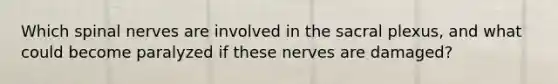 Which spinal nerves are involved in the sacral plexus, and what could become paralyzed if these nerves are damaged?