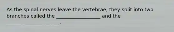 As the spinal nerves leave the vertebrae, they split into two branches called the __________________ and the _____________________ .