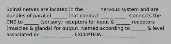 Spinal nerves are located in the ______ nervous system and are bundles of parallel ______ that conduct _____ _____. Connects the CNS to ______ (sensory) receptors for input & ______ receptors (muscles & glands) for output. Named according to ______ & level associated on ______ ______. EXCEPTION: ______ ______