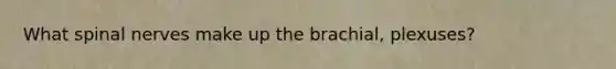 What spinal nerves make up the brachial, plexuses?