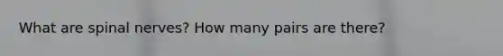 What are <a href='https://www.questionai.com/knowledge/kyBL1dWgAx-spinal-nerves' class='anchor-knowledge'>spinal nerves</a>? How many pairs are there?