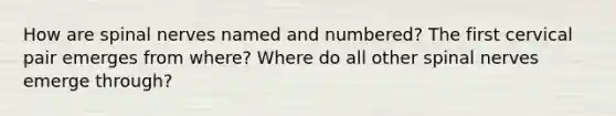 How are spinal nerves named and numbered? The first cervical pair emerges from where? Where do all other spinal nerves emerge through?