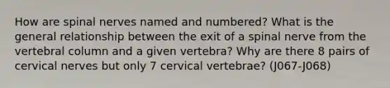 How are spinal nerves named and numbered? What is the general relationship between the exit of a spinal nerve from the vertebral column and a given vertebra? Why are there 8 pairs of cervical nerves but only 7 cervical vertebrae? (J067-J068)