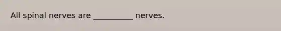 All spinal nerves are __________ nerves.