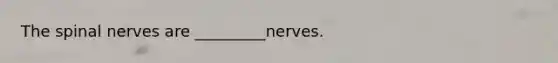 The spinal nerves are _________nerves.