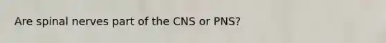 Are spinal nerves part of the CNS or PNS?