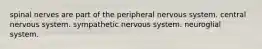 spinal nerves are part of the peripheral nervous system. central nervous system. sympathetic nervous system. neuroglial system.