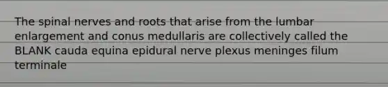 The spinal nerves and roots that arise from the lumbar enlargement and conus medullaris are collectively called the BLANK cauda equina epidural nerve plexus meninges filum terminale