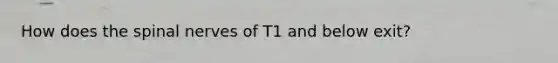 How does the spinal nerves of T1 and below exit?