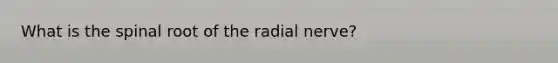 What is the spinal root of the radial nerve?