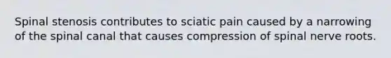 Spinal stenosis contributes to sciatic pain caused by a narrowing of the spinal canal that causes compression of spinal nerve roots.