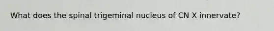 What does the spinal trigeminal nucleus of CN X innervate?