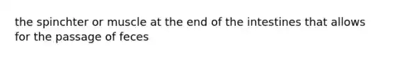 the spinchter or muscle at the end of the intestines that allows for the passage of feces