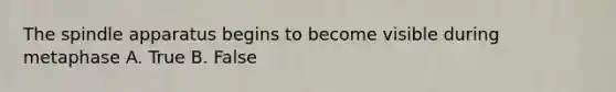 The spindle apparatus begins to become visible during metaphase A. True B. False