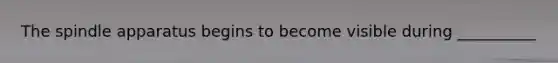 The spindle apparatus begins to become visible during __________