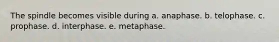 The spindle becomes visible during a. anaphase. b. telophase. c. prophase. d. interphase. e. metaphase.