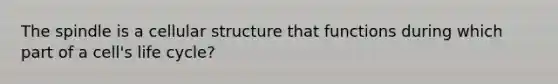The spindle is a cellular structure that functions during which part of a cell's life cycle?