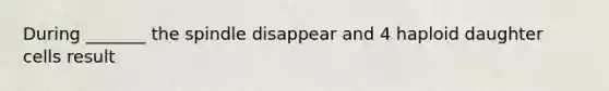 During _______ the spindle disappear and 4 haploid daughter cells result