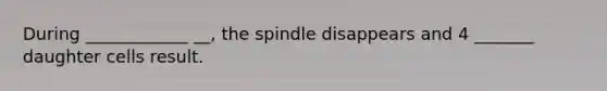 During ____________ __, the spindle disappears and 4 _______ daughter cells result.