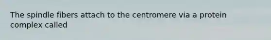 The spindle fibers attach to the centromere via a protein complex called