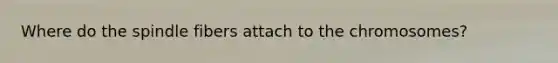 Where do the spindle fibers attach to the chromosomes?