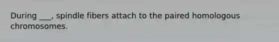 During ___, spindle fibers attach to the paired homologous chromosomes.