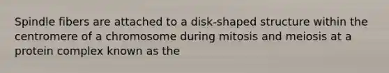 Spindle fibers are attached to a disk-shaped structure within the centromere of a chromosome during mitosis and meiosis at a protein complex known as the