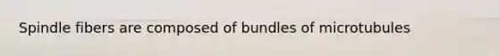 Spindle fibers are composed of bundles of microtubules