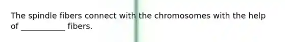 The spindle fibers connect with the chromosomes with the help of ___________ fibers.
