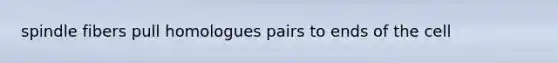 spindle fibers pull homologues pairs to ends of the cell