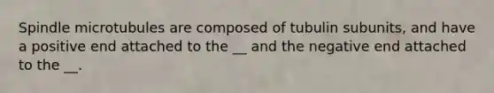 Spindle microtubules are composed of tubulin subunits, and have a positive end attached to the __ and the negative end attached to the __.