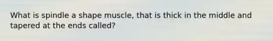 What is spindle a shape muscle, that is thick in the middle and tapered at the ends called?